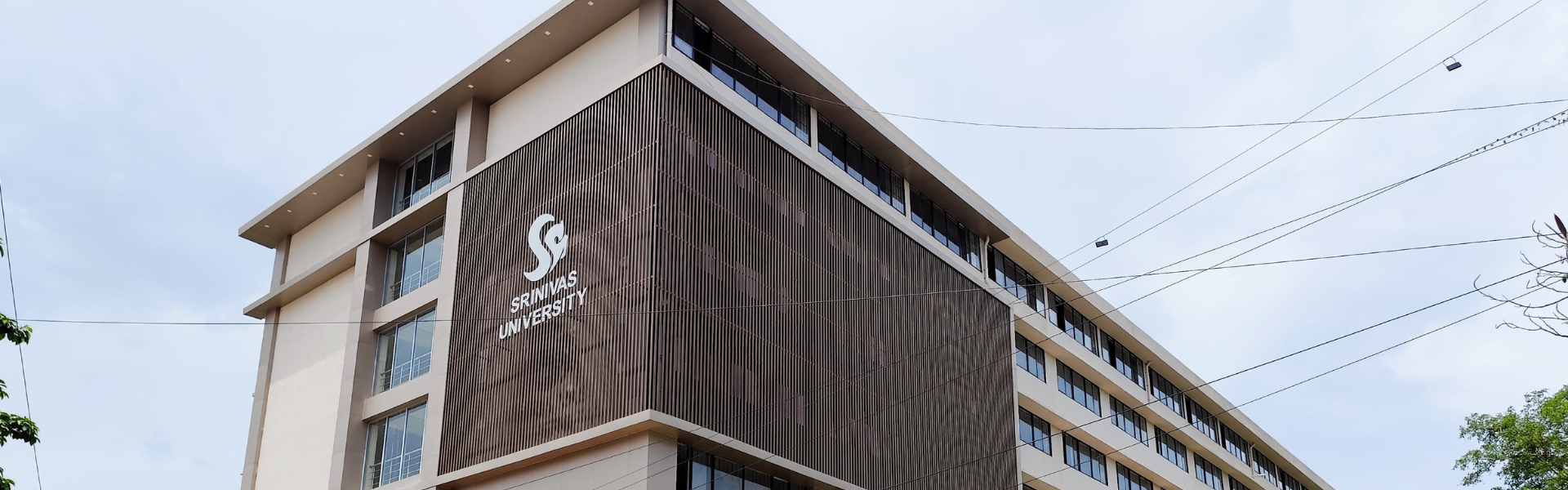 Srinivas University