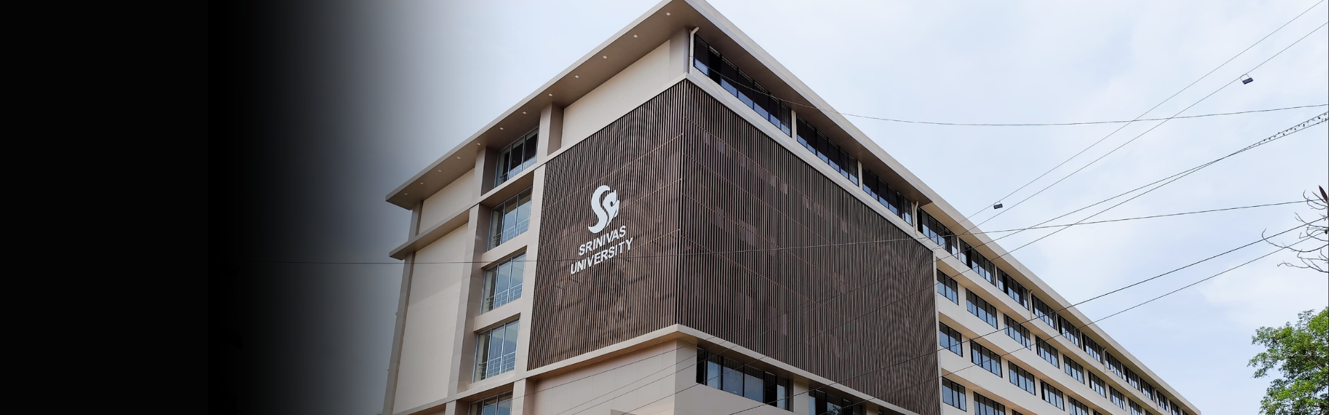 Srinivas University