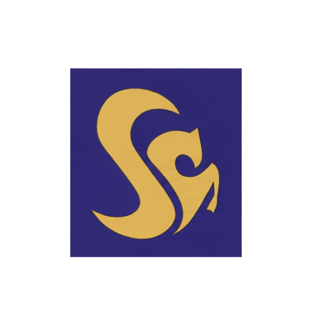 Srinivas University